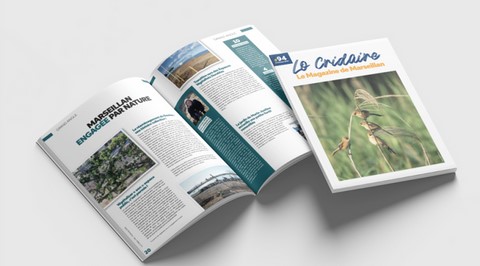 : Le nouveau look du magazine municipal devrait plaire au Marseillanais