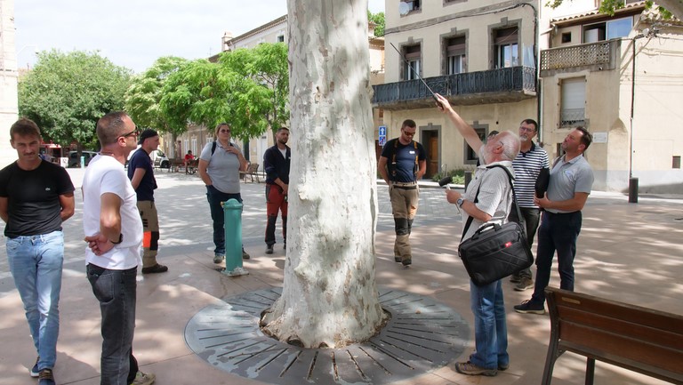 Formation pour les élagueurs de l’agglomération