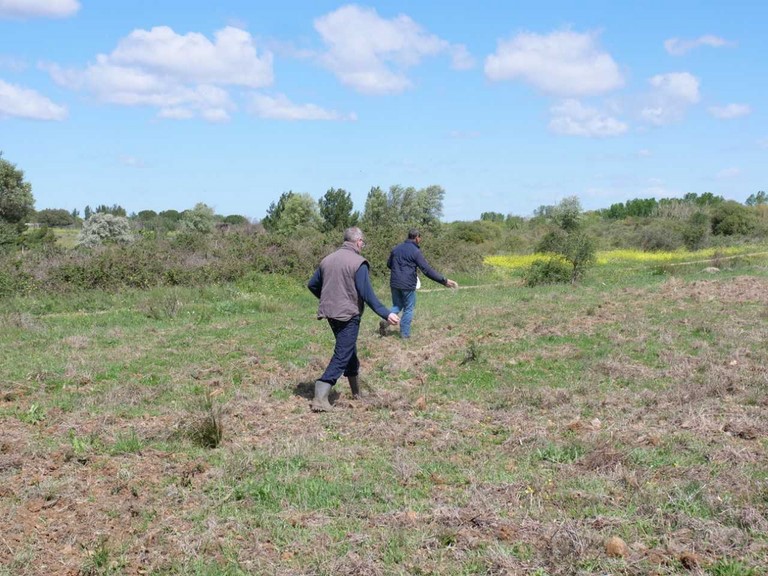 La parcelle a fait l’objet d’un fauchage, débroussaillage et griffage par le Saint-Hubert Bessanais