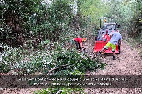 Les agents ont procédé à la coupe d’une soixantaine d’arbres, morts ou malades, pour éviter les embâcles
