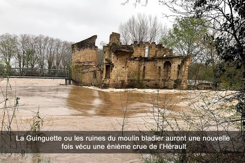 La Guinguette ou les ruines du moulin bladier auront une nouvelle fois vécu une énième crue de l’Hérault