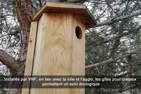 Installés par VNF, en lien avec la ville et l’agglo, les gîtes pour oiseaux permettent un suivi écologique