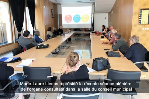 Marie-Laure Lledos a présidé la récente séance plénière de l’organe consultatif dans la salle du conseil municipal
