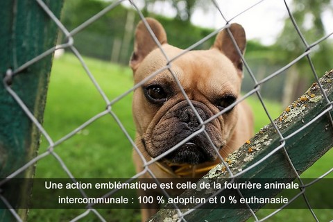 Une action emblématique est celle de la fourrière animale intercommunale : 100 % adoption et 0 % euthanasie
