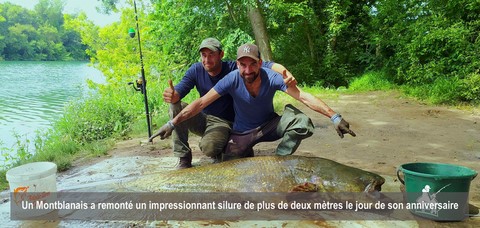 Un Montblanais a remonté un impressionnant silure de plus de deux mètres le jour de son anniversaire